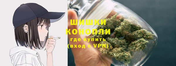 прущие крисы Арсеньев