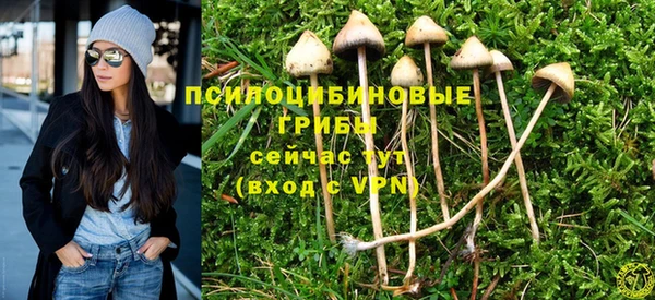 прущие крисы Арсеньев