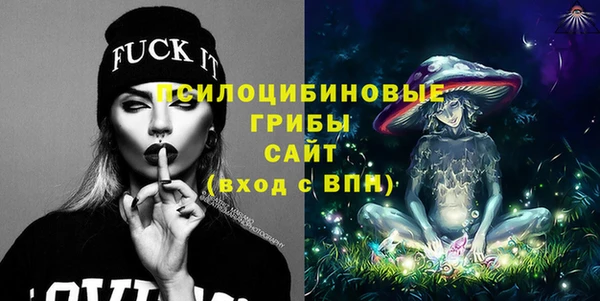 PSILOCYBIN Армянск