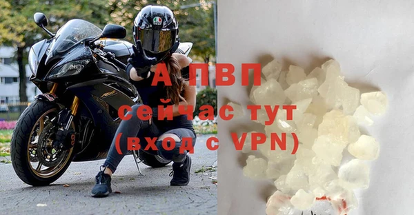 прущие крисы Арсеньев