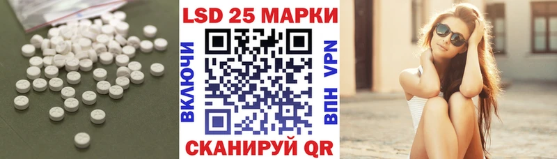 дарнет шоп  Пудож  Лсд 25 экстази кислота 